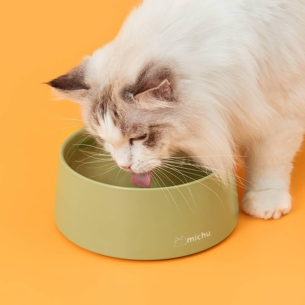 Premium Raised Ceramic Cat Bowl Set in Barley White