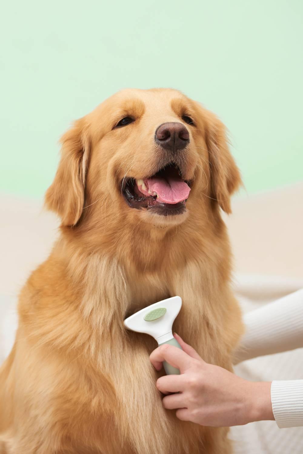 Michu Heavy‑Duty Undercoat Shedding Rake for Dogs & Cats