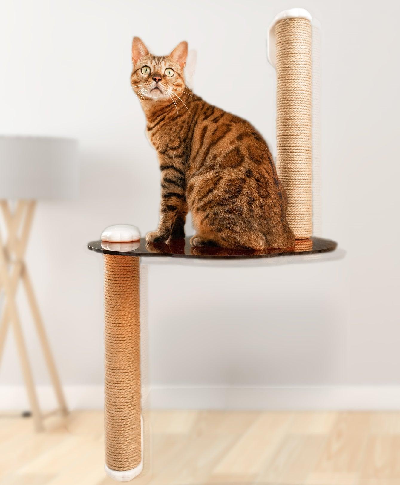 Michu Cloud-Shaped Window Cat Tree with Scratchpost & Perch
