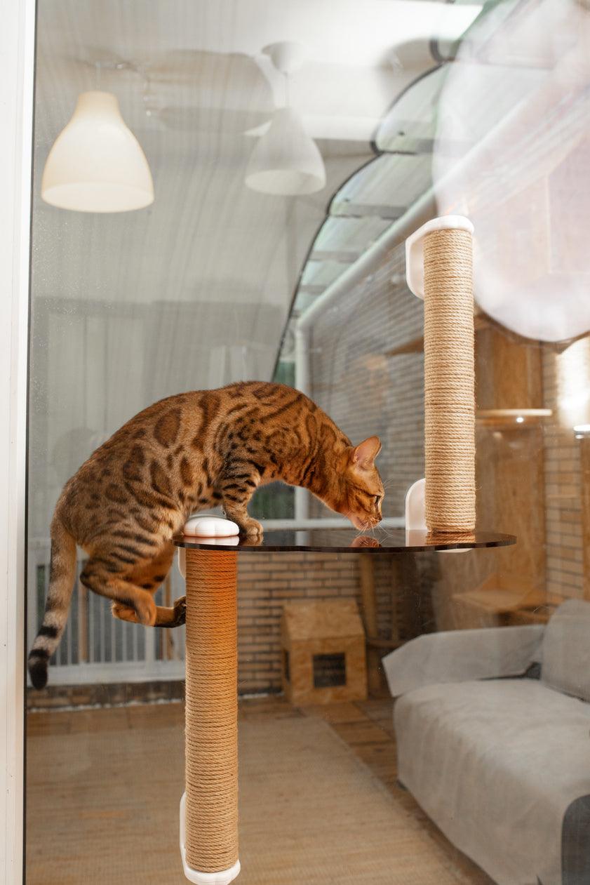 Michu Cloud-Shaped Window Cat Tree with Scratchpost & Perch