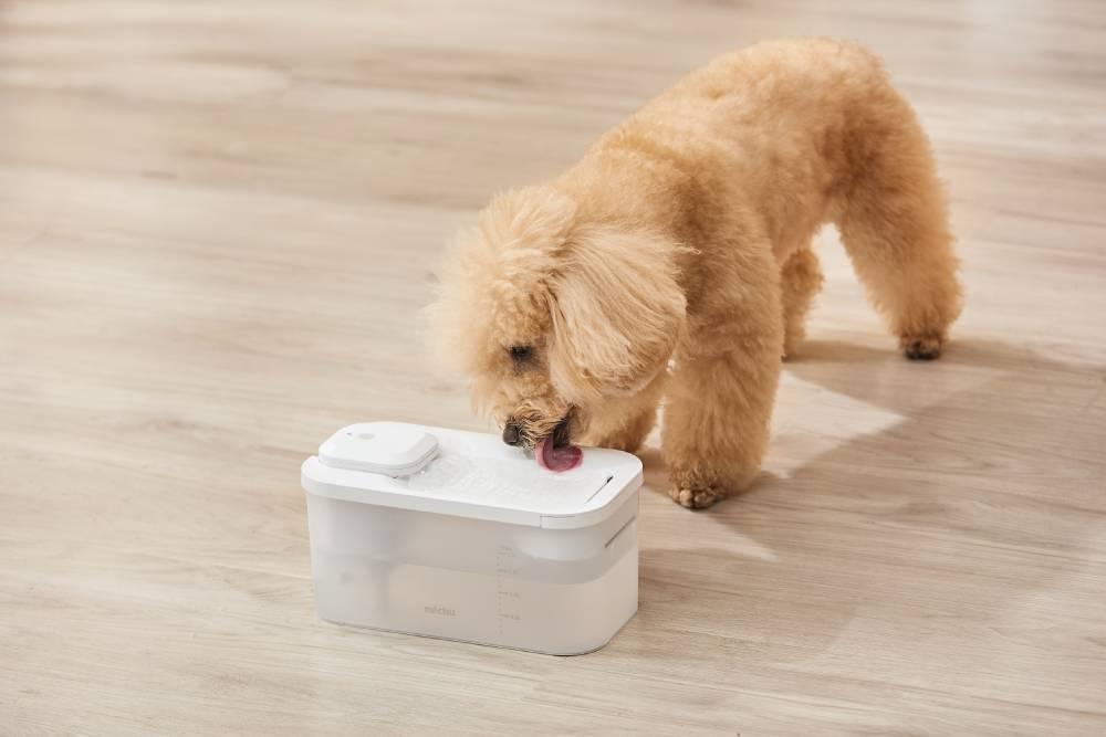 Michu Wireless Cat Water Fountain – Cordless Rechargeable 1.8L Solution