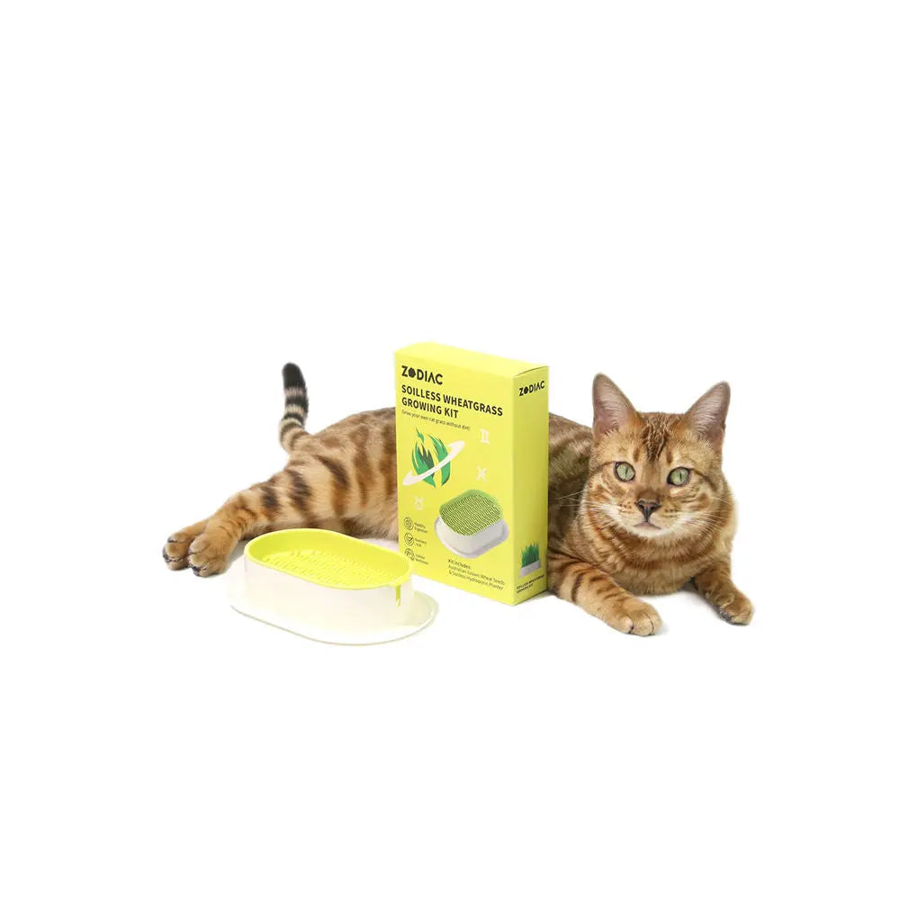 Zodiac Soilless Wheatgrass Growing Kit: Fresh, Nutritious, Easy-Grow Pet Greens