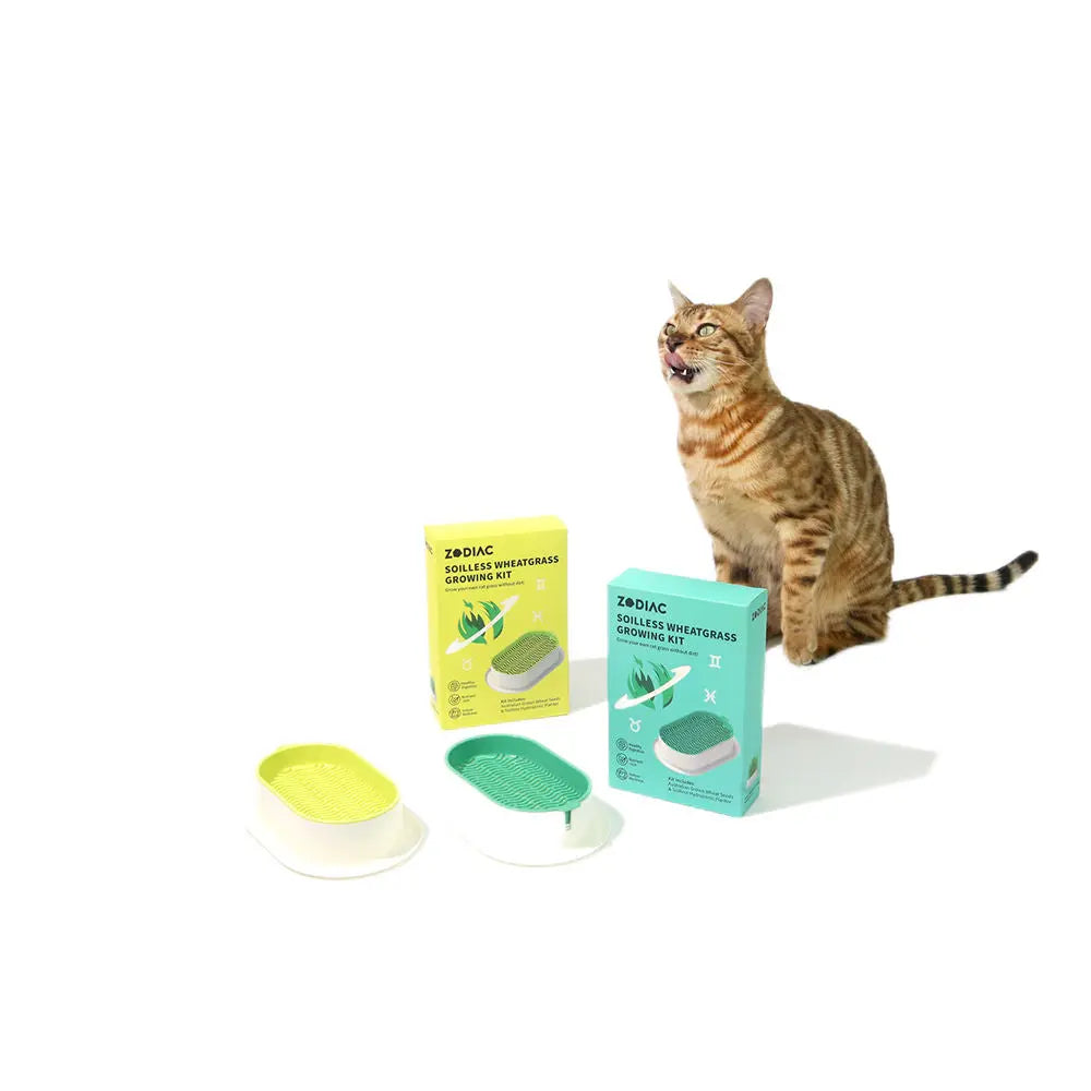 Zodiac Soilless Wheatgrass Growing Kit: Fresh, Nutritious, Easy-Grow Pet Greens