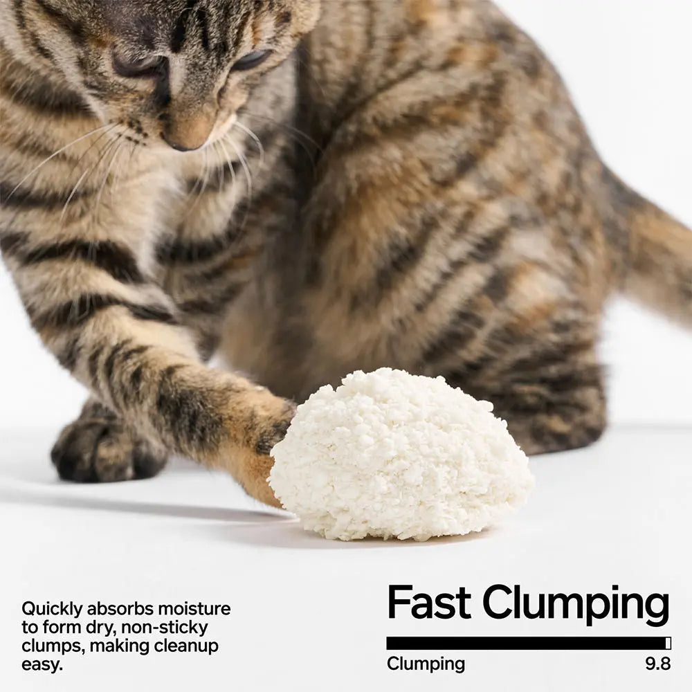 Pidan Cassava Cat Litter 2.4kg 6L: Odour Control, Quick Clumping, Flushable, Eco-Friendly