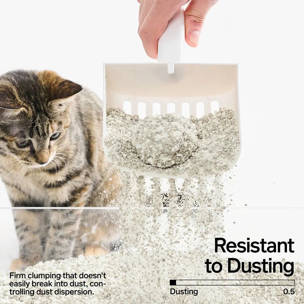 Pidan Cassava Bentonite Cat Litter - Odour Control, Fast Clumping, 2.4kg, 6L