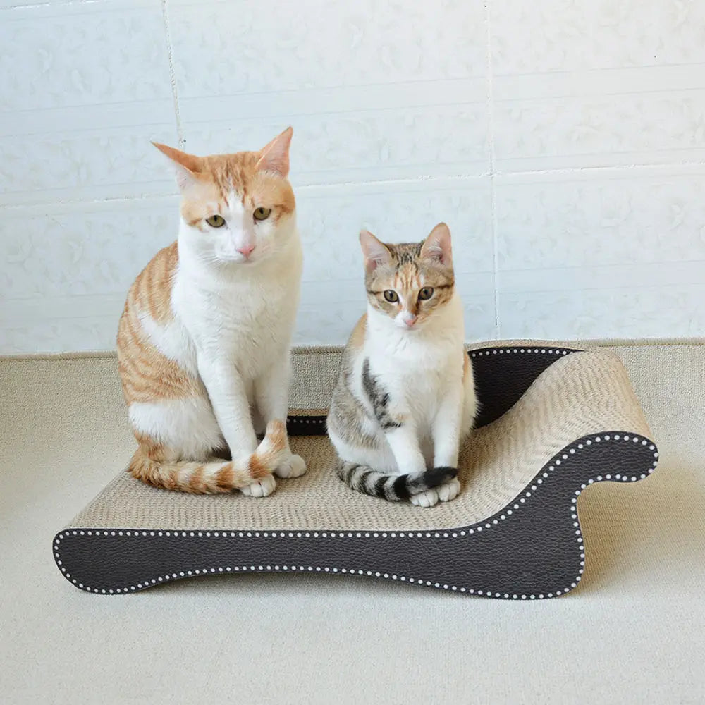 Zodiac Cat Scratcher Beach Chair: Durable, Fun, and Relaxing for Feline Friends