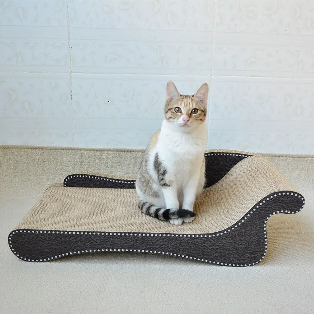 Zodiac Cat Scratcher Beach Chair: Durable, Fun, and Relaxing for Feline Friends
