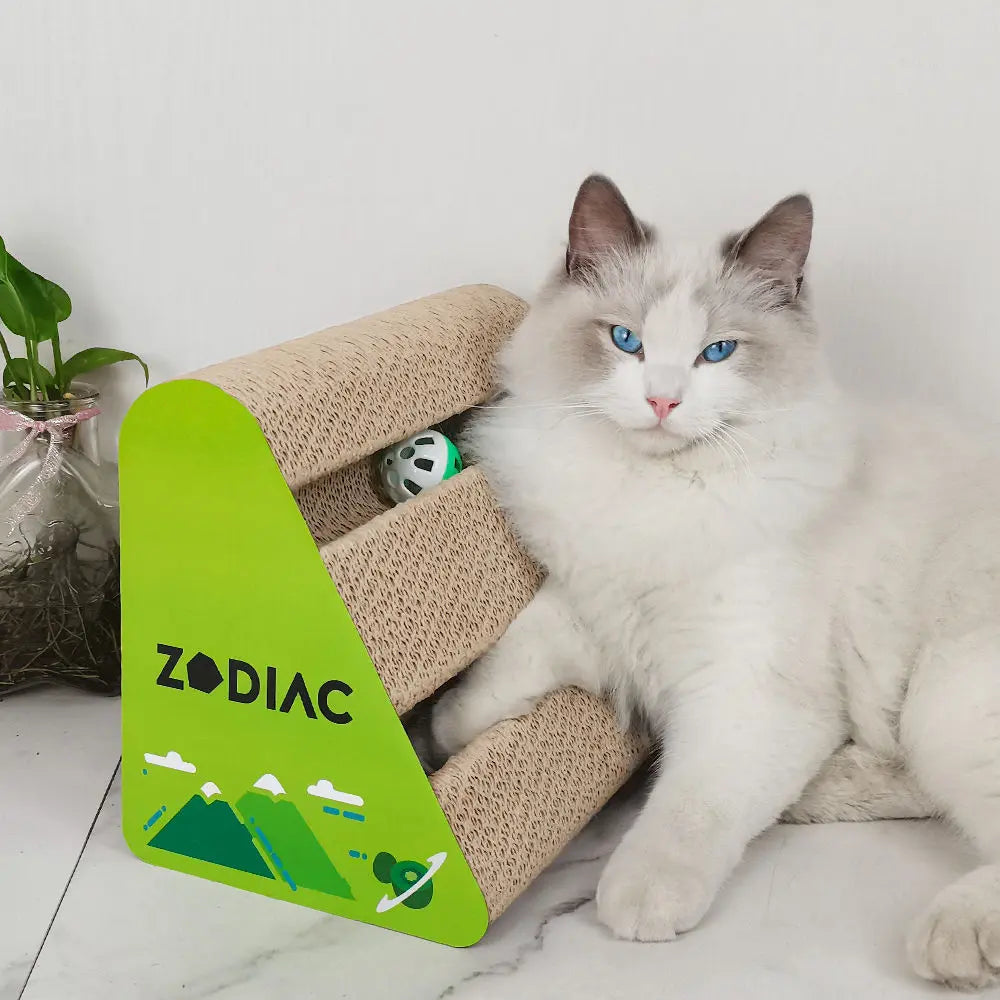 Zodiac Triangle Cat Ball Scratcher: Engaging Kiwi Toy for Happy Healthy Felines