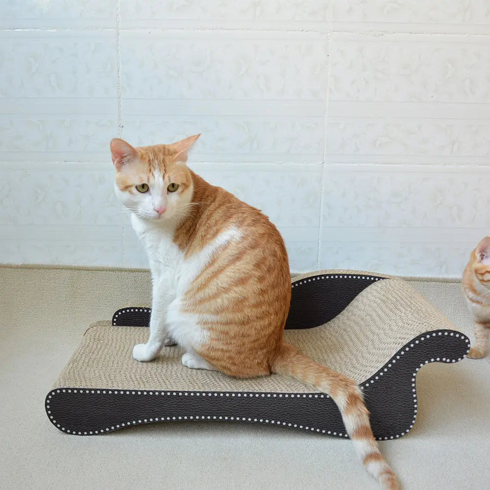 Zodiac Cat Scratcher Beach Chair: Durable, Fun, and Relaxing for Feline Friends