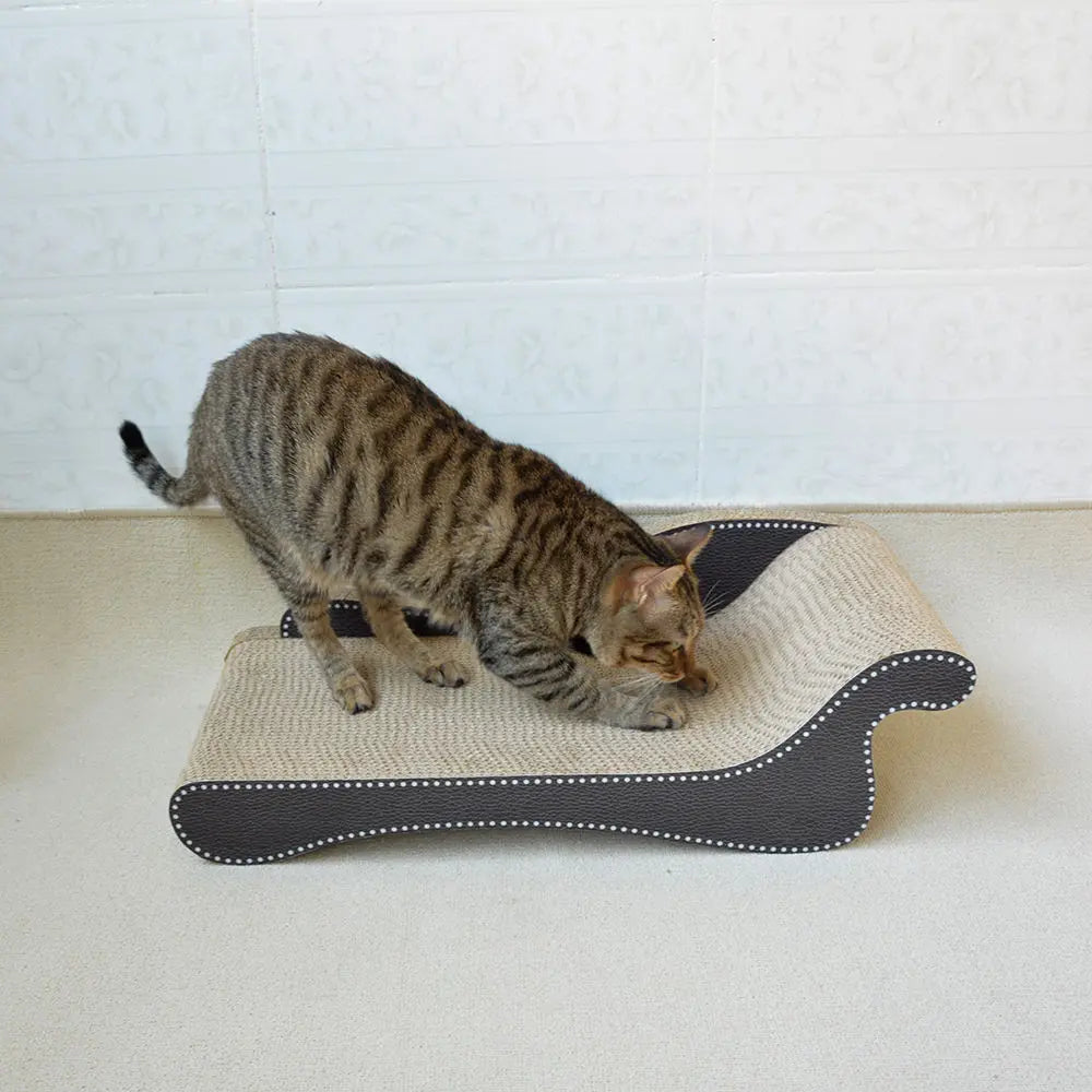 Zodiac Cat Scratcher Beach Chair: Durable, Fun, and Relaxing for Feline Friends