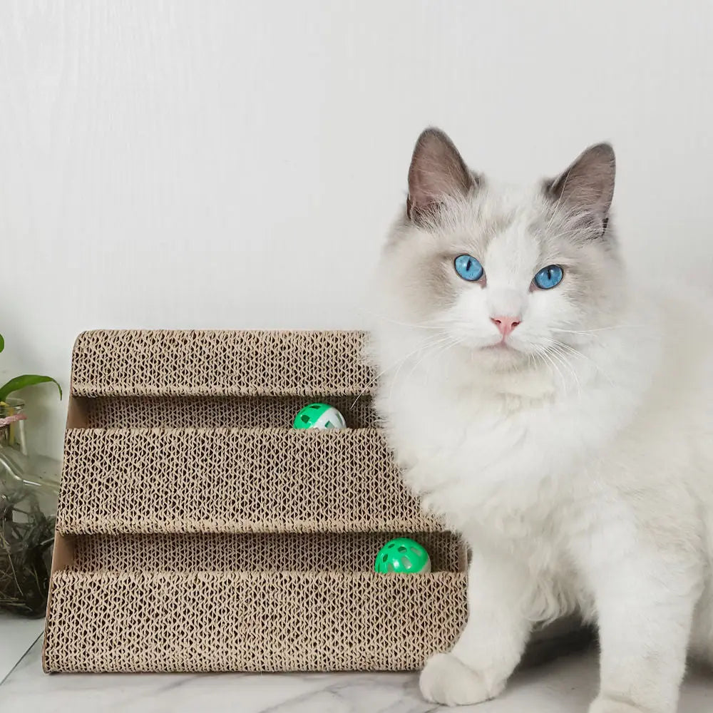 Zodiac Triangle Cat Ball Scratcher: Engaging Kiwi Toy for Happy Healthy Felines
