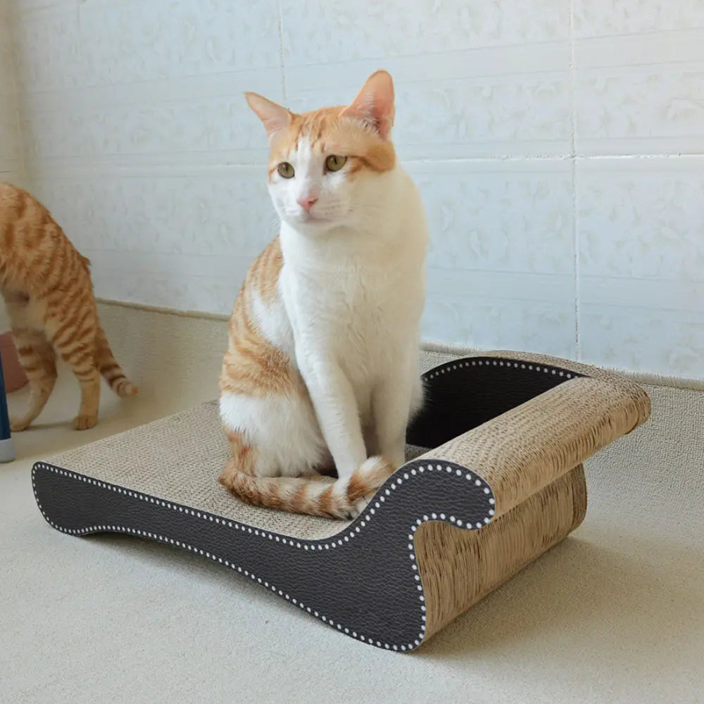 Zodiac Cat Scratcher Beach Chair: Durable, Fun, and Relaxing for Feline Friends