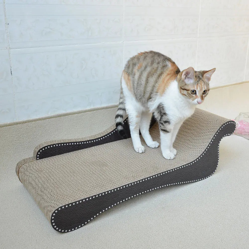 Zodiac Cat Scratcher Beach Chair: Durable, Fun, and Relaxing for Feline Friends