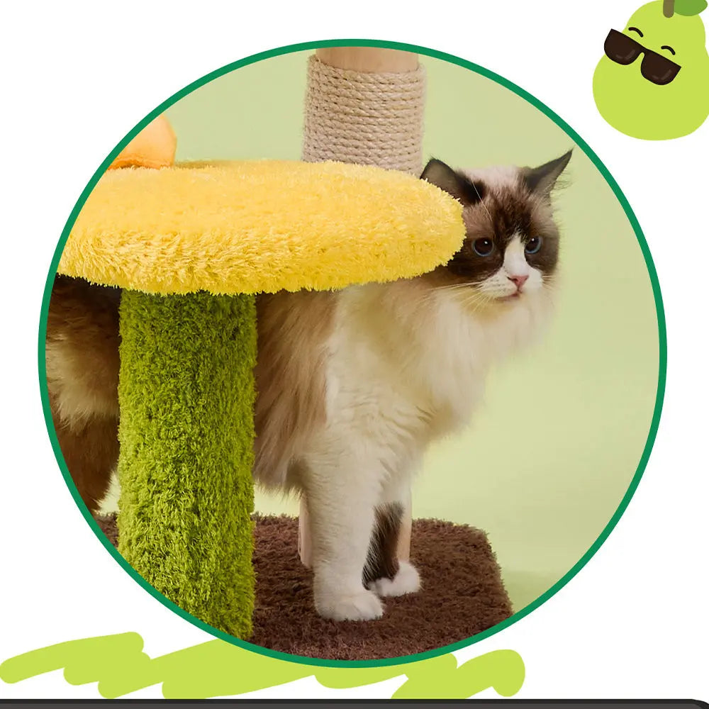 Pear Shaped Cat Scratching Post & Bed: Ultimate Comfort for Playful Felines