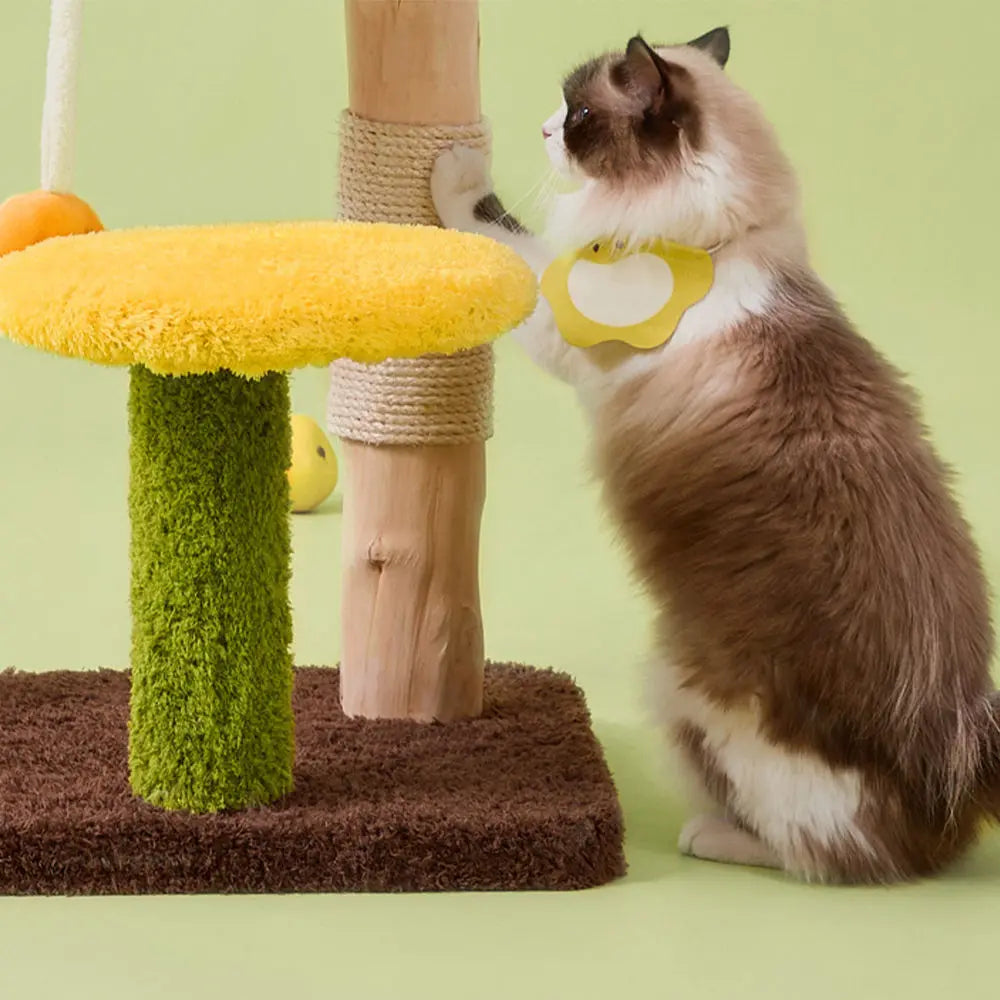 Pear Shaped Cat Scratching Post & Bed: Ultimate Comfort for Playful Felines