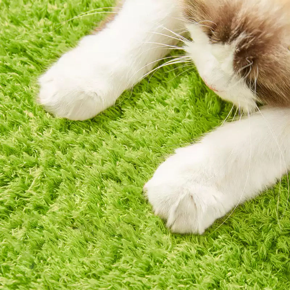 CMisstree Avocado Multi-functional Cat Scratching Post and Bed Cozy Fun
