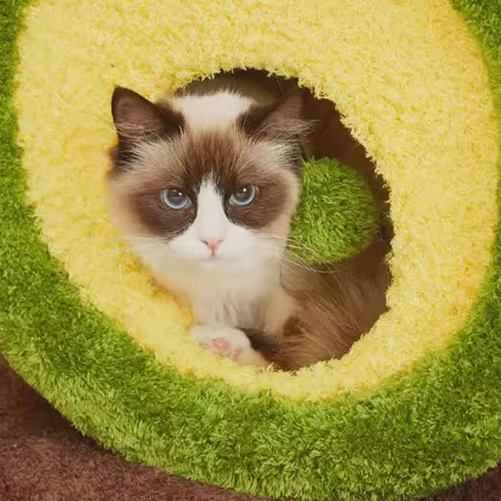 CMisstree Avocado Multi-functional Cat Scratching Post and Bed Cozy Fun
