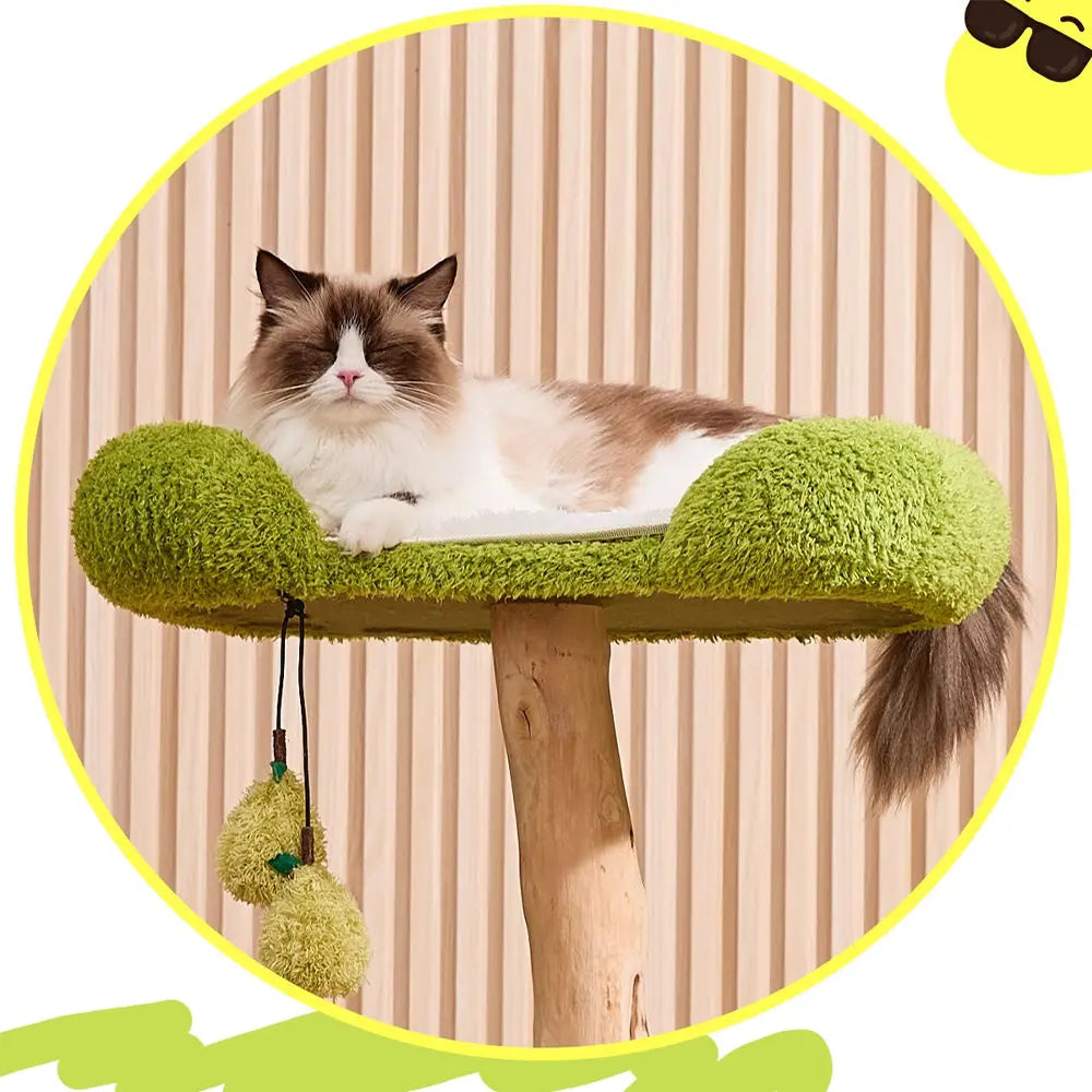 Multi-Level Cat Tree: Pear Hammock, Cozy Cat House, Scratching Posts for Feline Fun