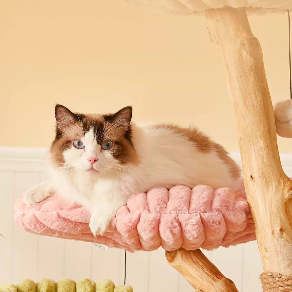 Three-Level Flower Shaped Cat Tree with Cozy House for Playful Felines