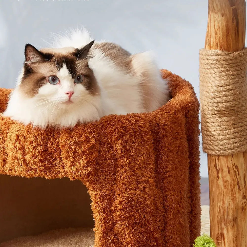 CMISSTREE Single-Level Tree Hollow Solid Wood Cat Tree - Sturdy & Durable