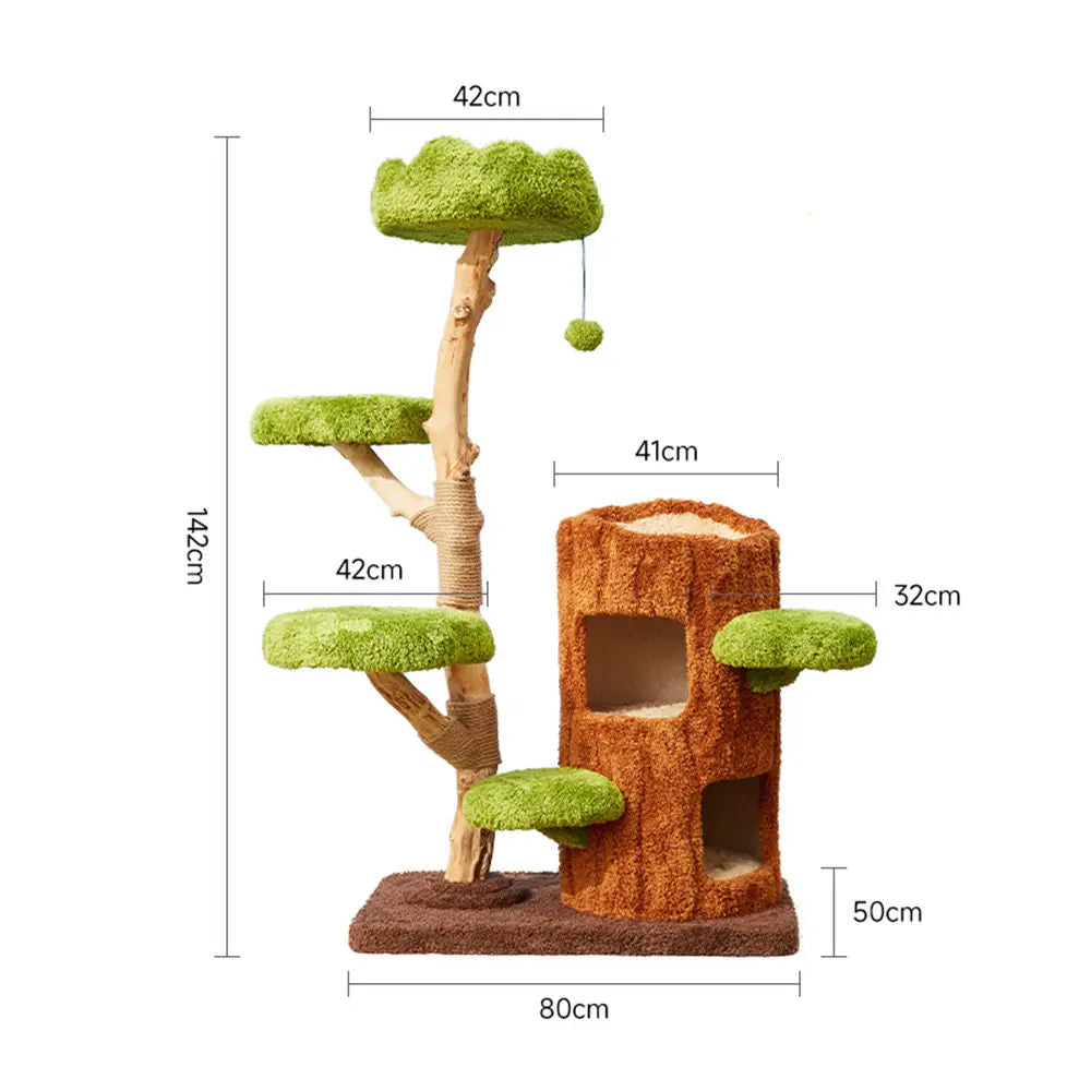Multi-Level Solid Wood Cat Tree: Five Tier Tree Hollow Climbing Tower