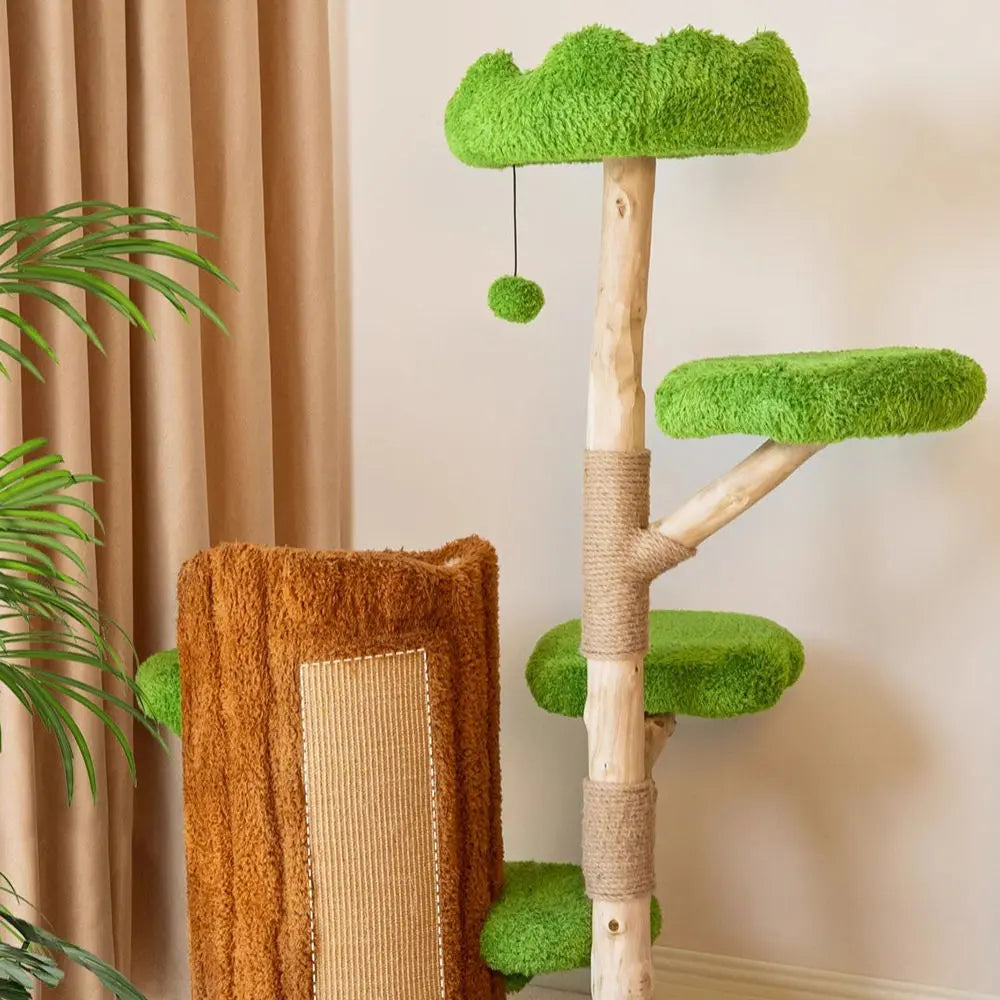 Multi-Level Solid Wood Cat Tree: Five Tier Tree Hollow Climbing Tower