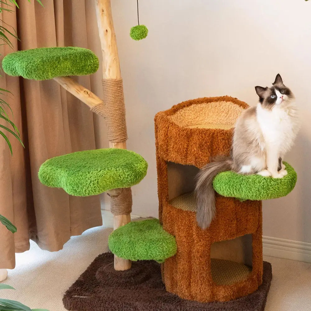 Multi-Level Solid Wood Cat Tree: Five Tier Tree Hollow Climbing Tower