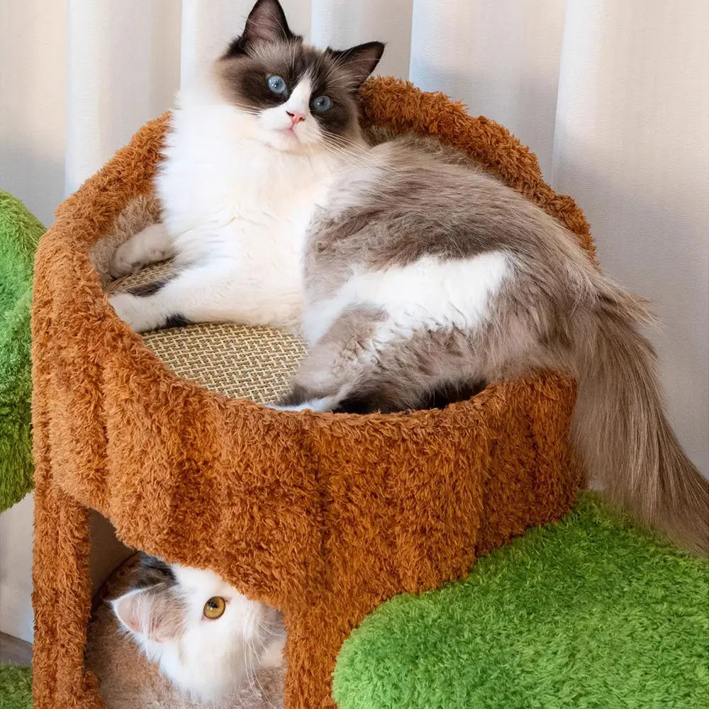 Multi-Level Solid Wood Cat Tree: Five Tier Tree Hollow Climbing Tower