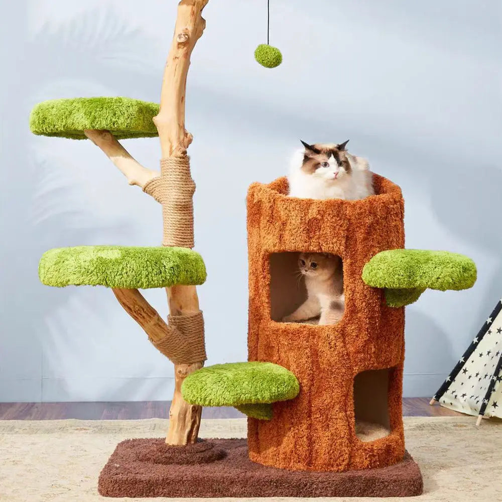 Multi-Level Solid Wood Cat Tree: Five Tier Tree Hollow Climbing Tower
