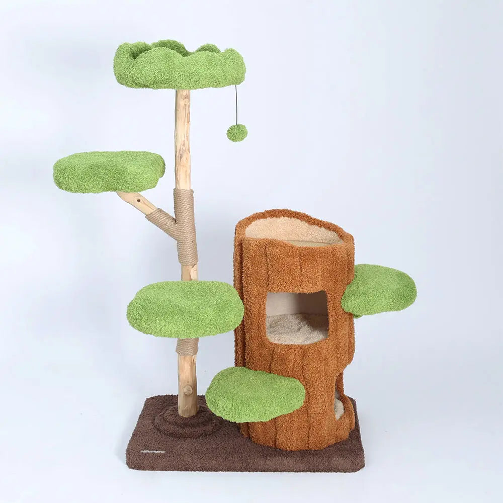 Multi-Level Solid Wood Cat Tree: Five Tier Tree Hollow Climbing Tower