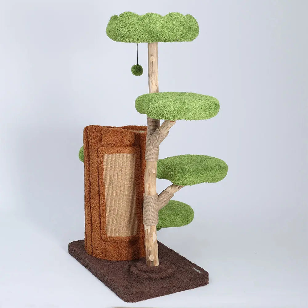 Multi-Level Solid Wood Cat Tree: Five Tier Tree Hollow Climbing Tower