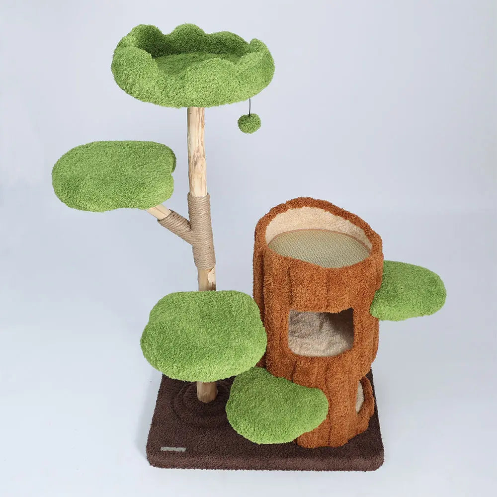 Multi-Level Solid Wood Cat Tree: Five Tier Tree Hollow Climbing Tower