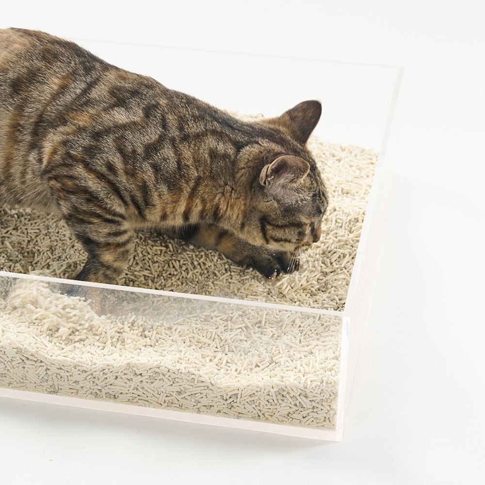 Pidan Composite Cat Litter 7L: Odour-Control Tofu, Bentonite & Starch Blend