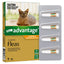 Advantage Cats Under 4kg 4 pack