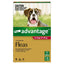 Advantage Dog 10-25kg 6 pack