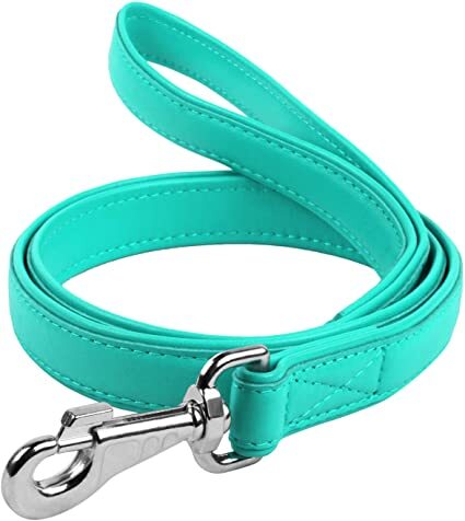 Premium Waudog Leather Snap Leash 9mm Ã¢â‚¬â€œ Durable, Stylish, and Comfortable for Dogs