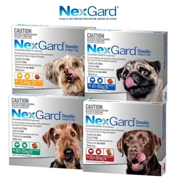 NEXGARD FOR DOGS 10.1-25KG - Green 6 Pack Nexgard