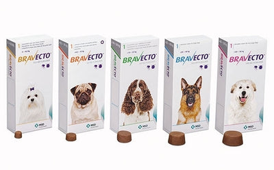 Bravecto Very Small Dog Yellow 2-4.5kg Single Chew Flea & Tick Control - Extra Small Bravecto