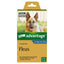 Advantage Dog over 25Kg 1 pack