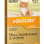 Advocate Cat under 4kg Single