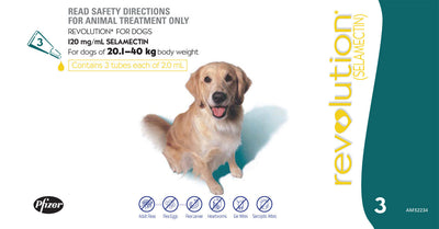 Revolution (Teal) Dog 20.1-40Kg - 3 Pack Revolution