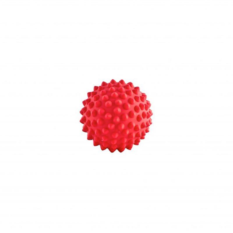 Aussie Dog Catch Ball Red Aussie Dog