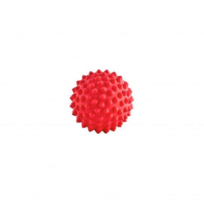 Aussie Dog Catch Ball Red Aussie Dog