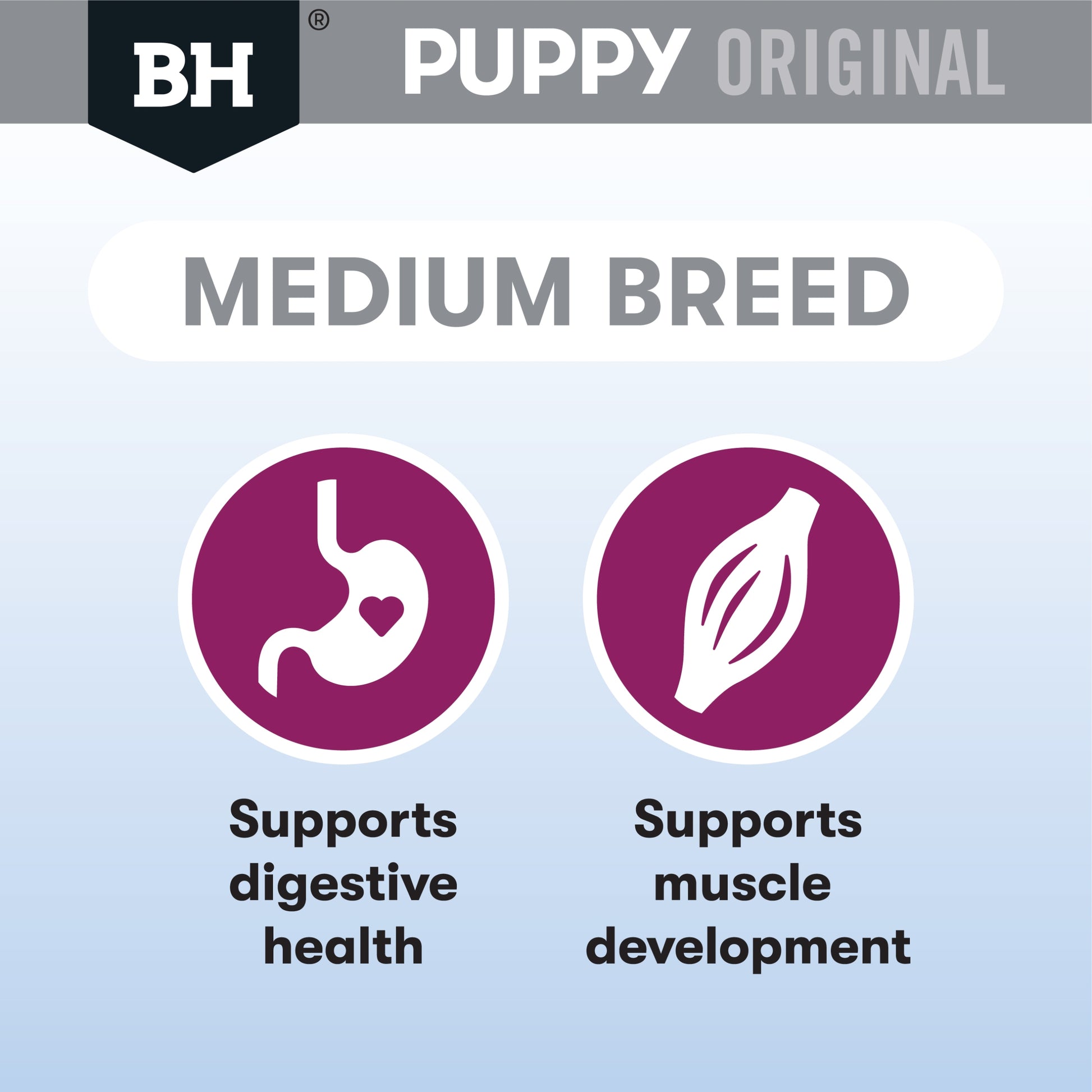 Black Hawk Medium Puppy Lamb & Rice Dry Food for Healthy Development