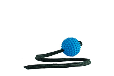 AUSSIE DOG LONG BALL SOFT BLUE Aussie Dog