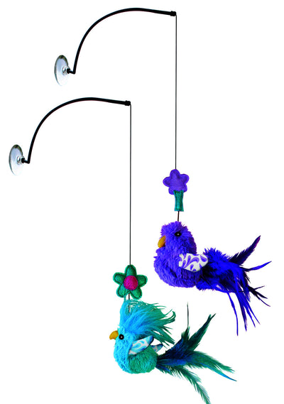 KONG Active Window Teaser Kong