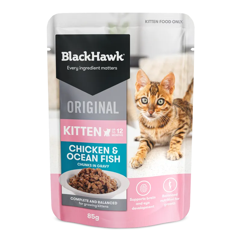 Black Hawk Kitten Chicken Ofish In Gravy 85G 12Pack Black Hawk