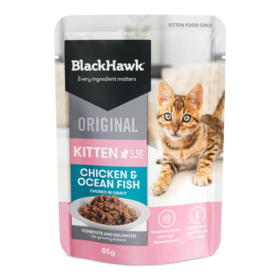 Black Hawk Kitten Chicken Ofish In Gravy 85G 12Pack Black Hawk