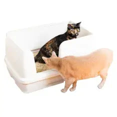 Ezi-Lockodour Dual Layer Cat Litter System Xl 