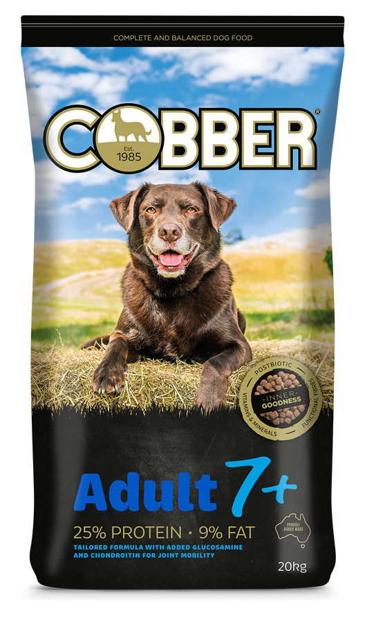 Cobber Adult 7+ 20Kg (36) Cobber